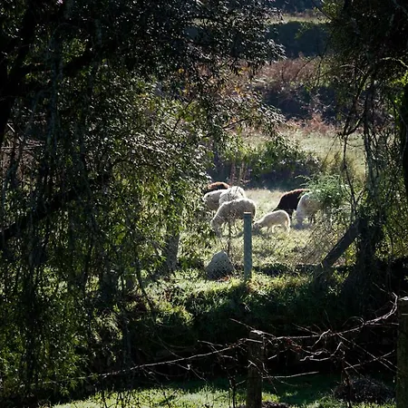 بيت للعطل Quinta Da Pereirinha اركوس دي فالديفيز