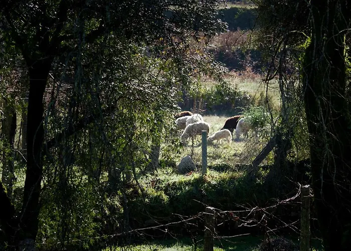 Semesterbostad Quinta Da Pereirinha Arcos de Valdevez